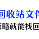 如何找回回收站清空的文件？别让你的电脑数据去流浪，试试这3个策略！