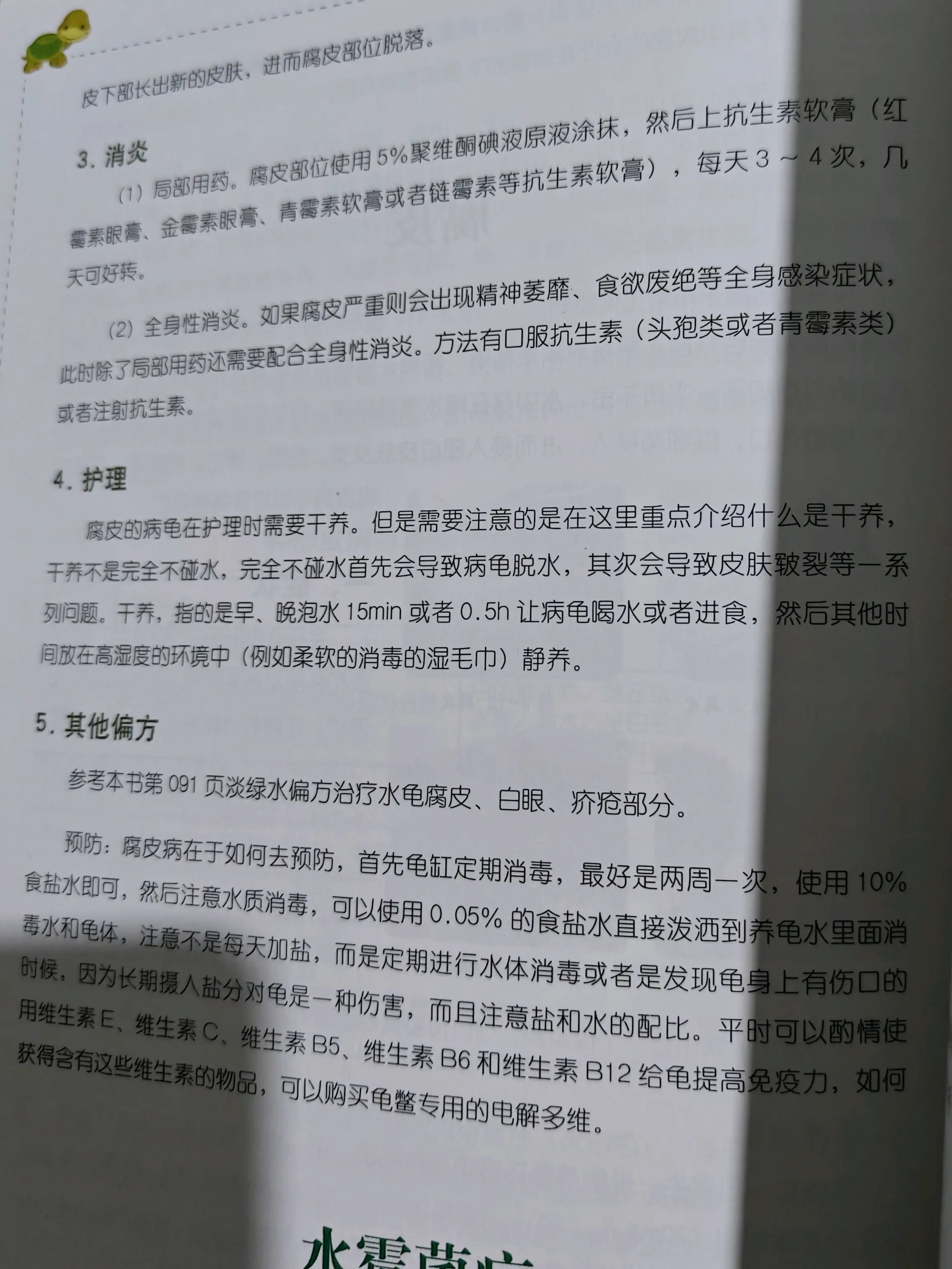 龟腐皮及疥疮的治疗