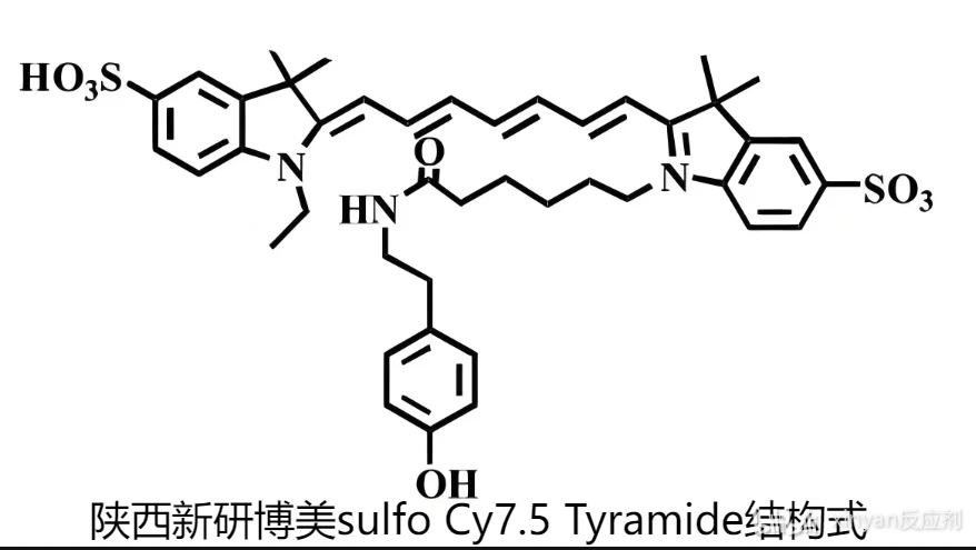 sulfo Cy7.5 TSA，水溶性花青素Cy7.5 酪酰胺基本特性 - 哔哩哔哩