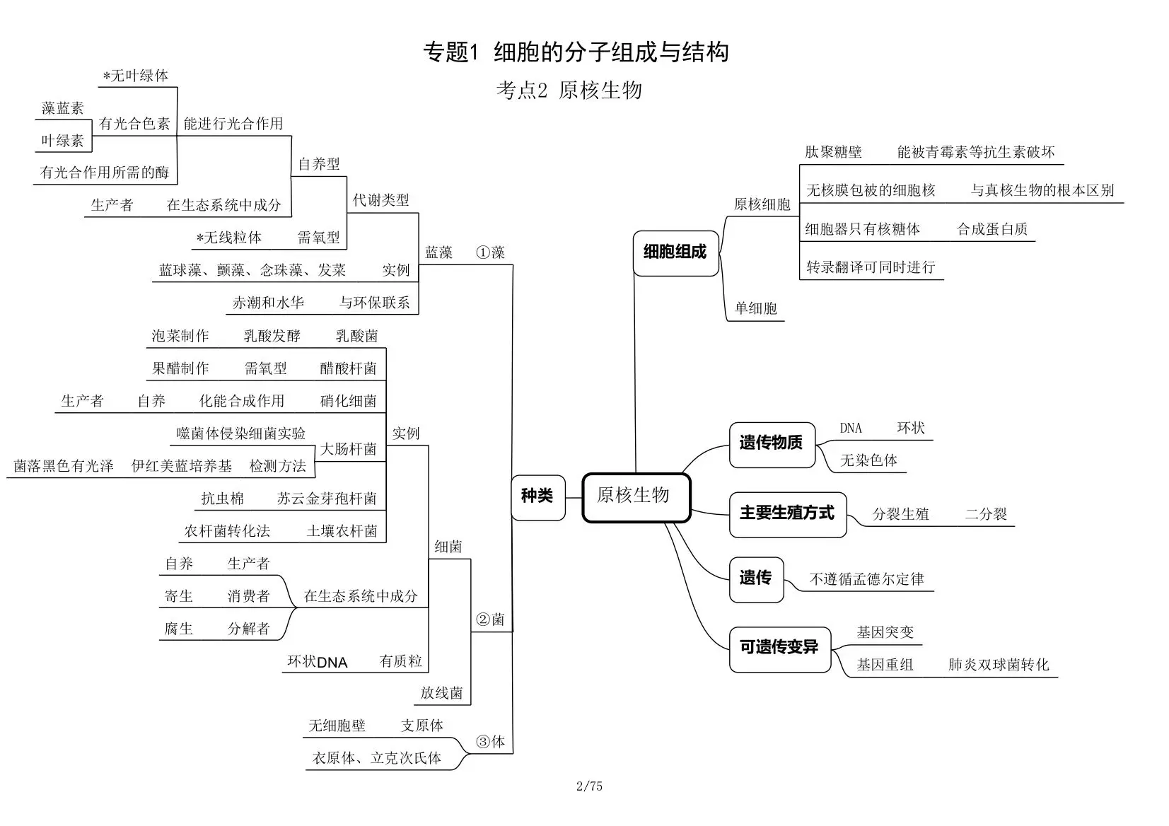 高中生物思维导图,助你学习高中生物!