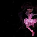 星·月·花