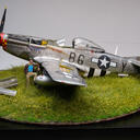 1/35 边境P-51D野马投稿