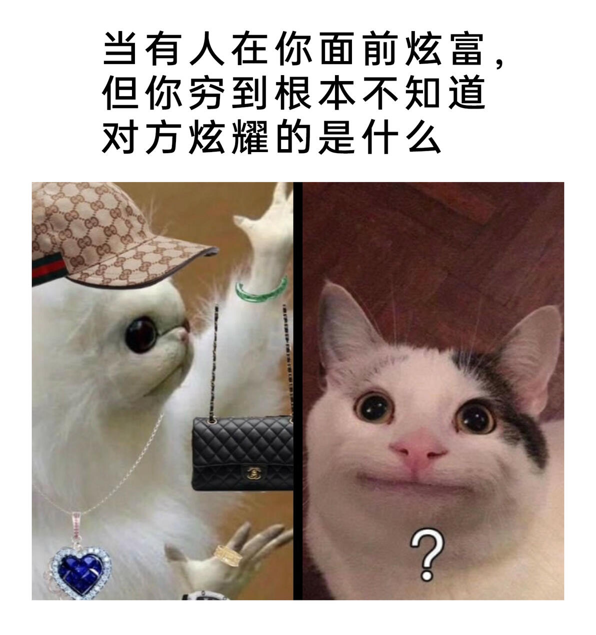 meme梗图:快把剑插回去! - 哔哩哔哩