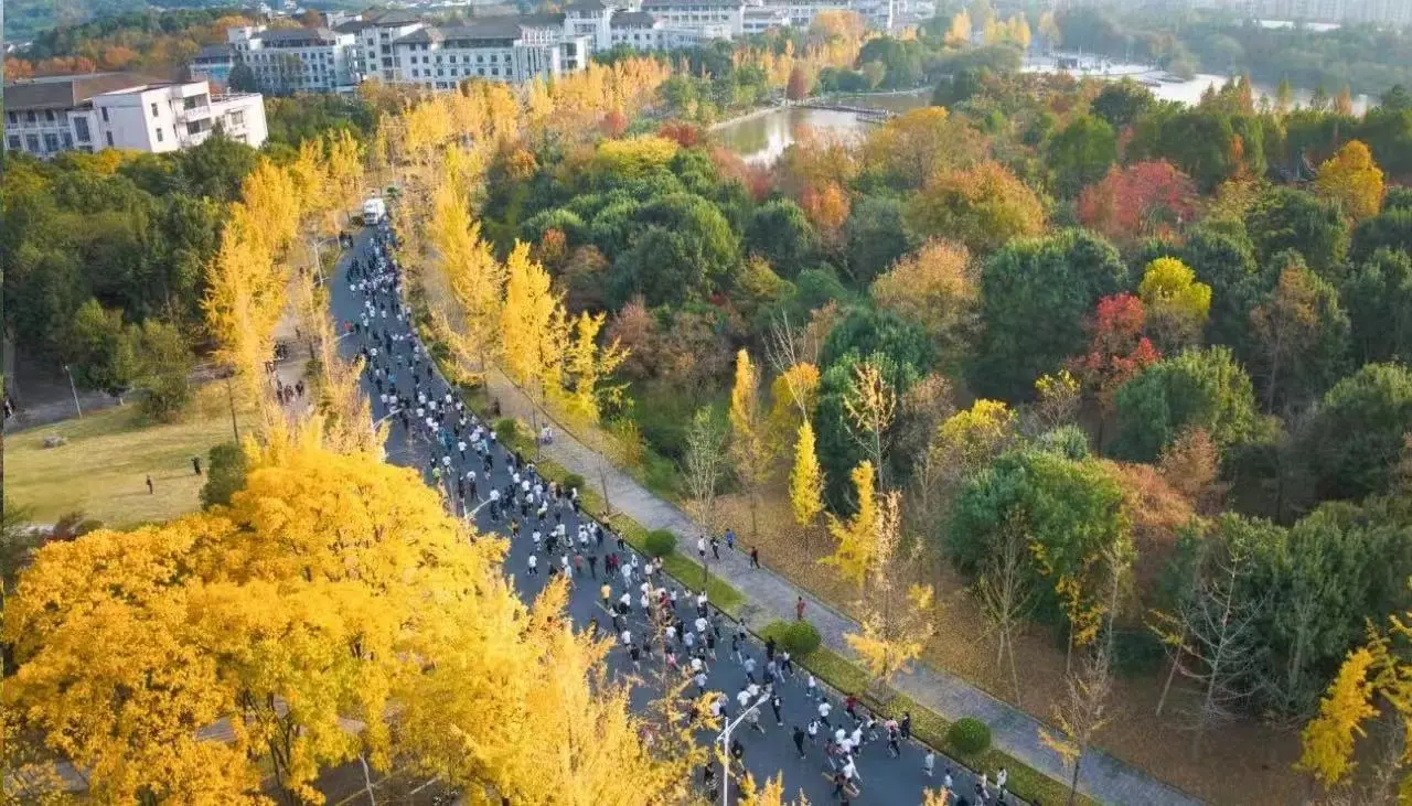 来吧,让我们在这个秋天,走进浙江农林大学,感受银杏的魅力,沐浴