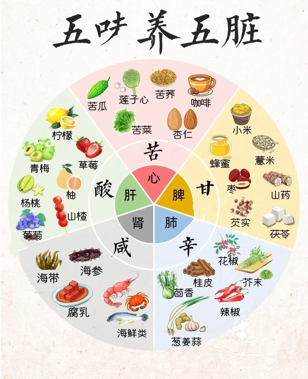 五脏各有所喜,护养应据五行调五味张仲景认为:"所食之味,有与病相宜