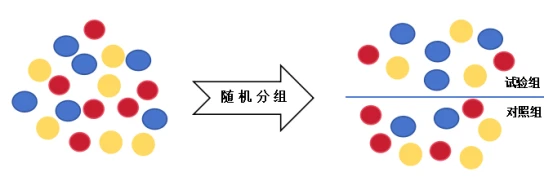 干货来了！Lancet杂志的临床试验论文，随机化分组如何开展？ - 哔哩哔哩