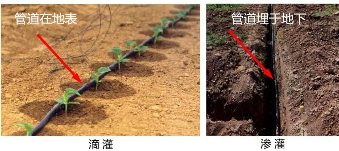 灌溉农业和绿洲农业有啥区别？ 喷灌、滴灌、渗灌，还有漫灌到底是怎么回事？ - 哔哩哔哩