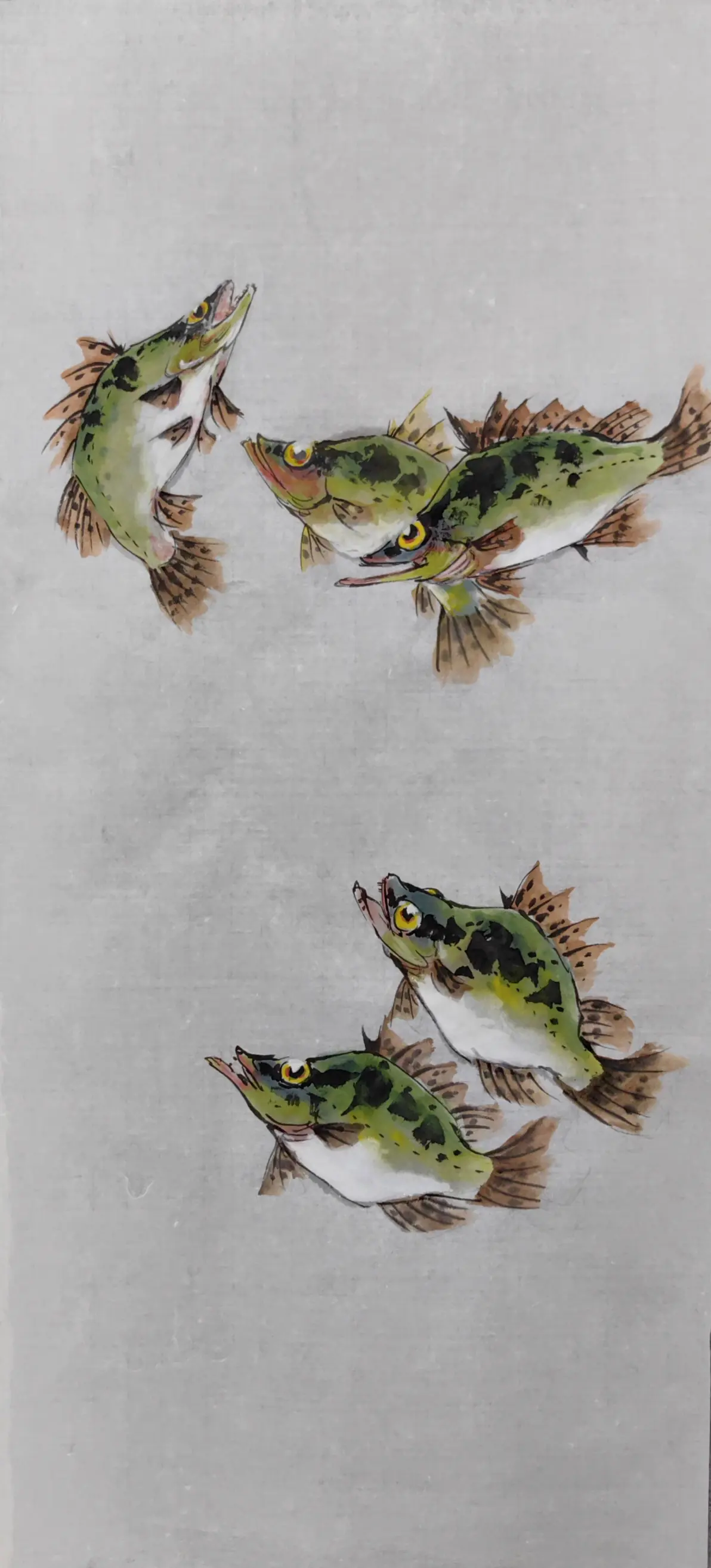 鳜鱼国画小写意作品集