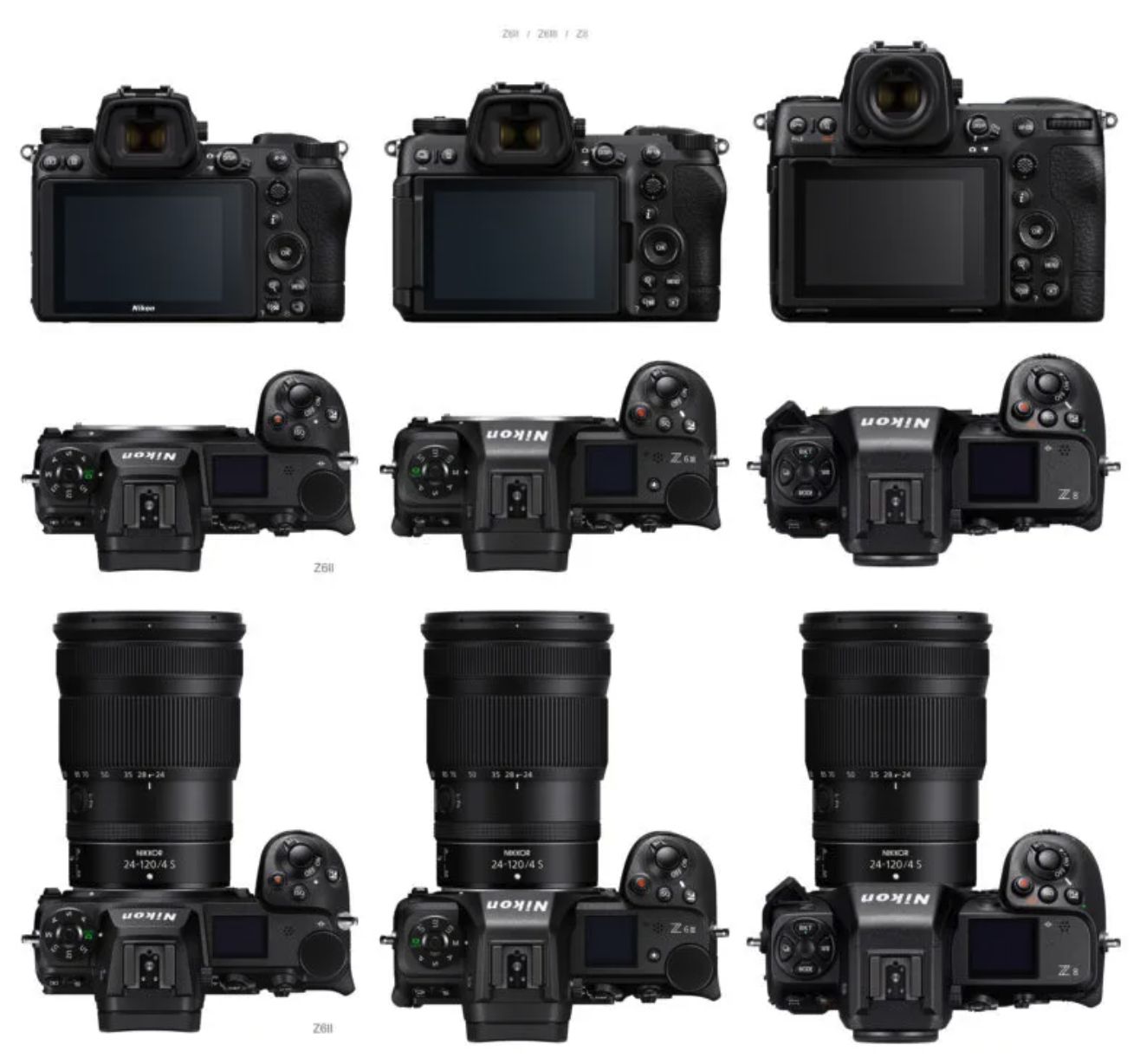 尼康Z6III vs Z6II vs Z8全画幅无反相机！ 哔哩哔哩