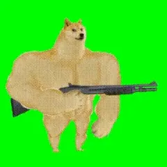 免费超全猫猫meme表情包(第一弹)