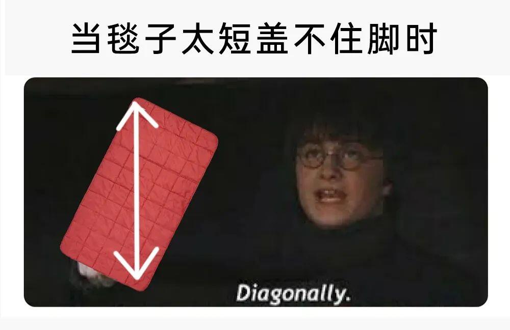 meme图:当你不小心弄丢你的猫 - 哔哩哔哩