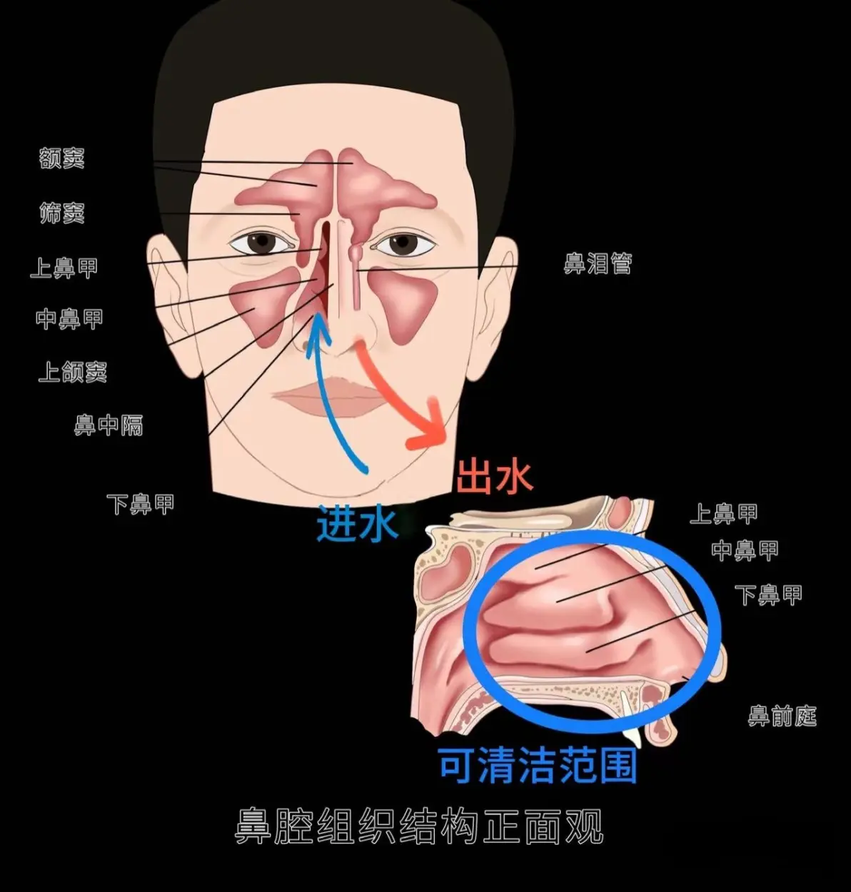 从动图也可以看出来,水流的冲击力比喷雾要大得多,冲洗的位置也要更