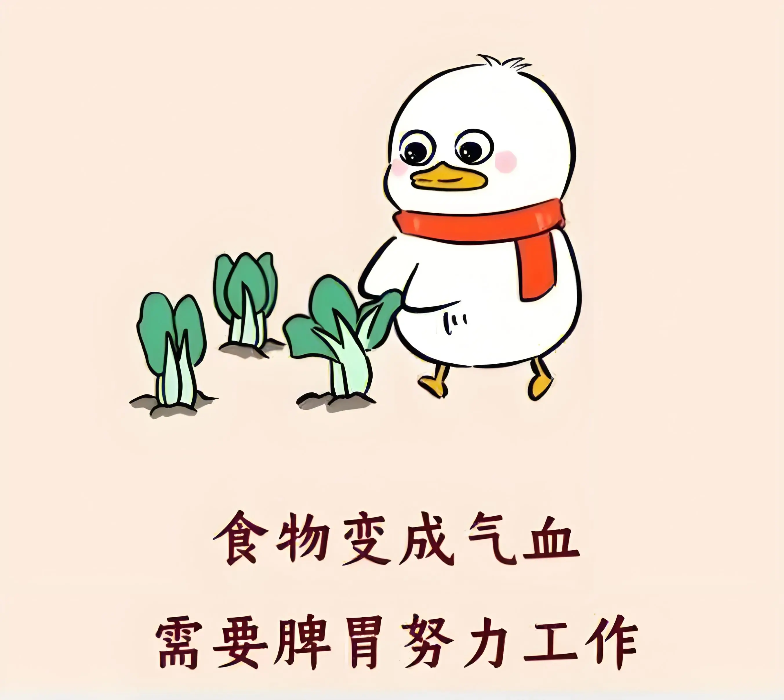 气血虚图片卡通图片