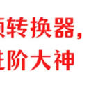视频转换器在这里，6款全部拿走，一分钟进阶大神