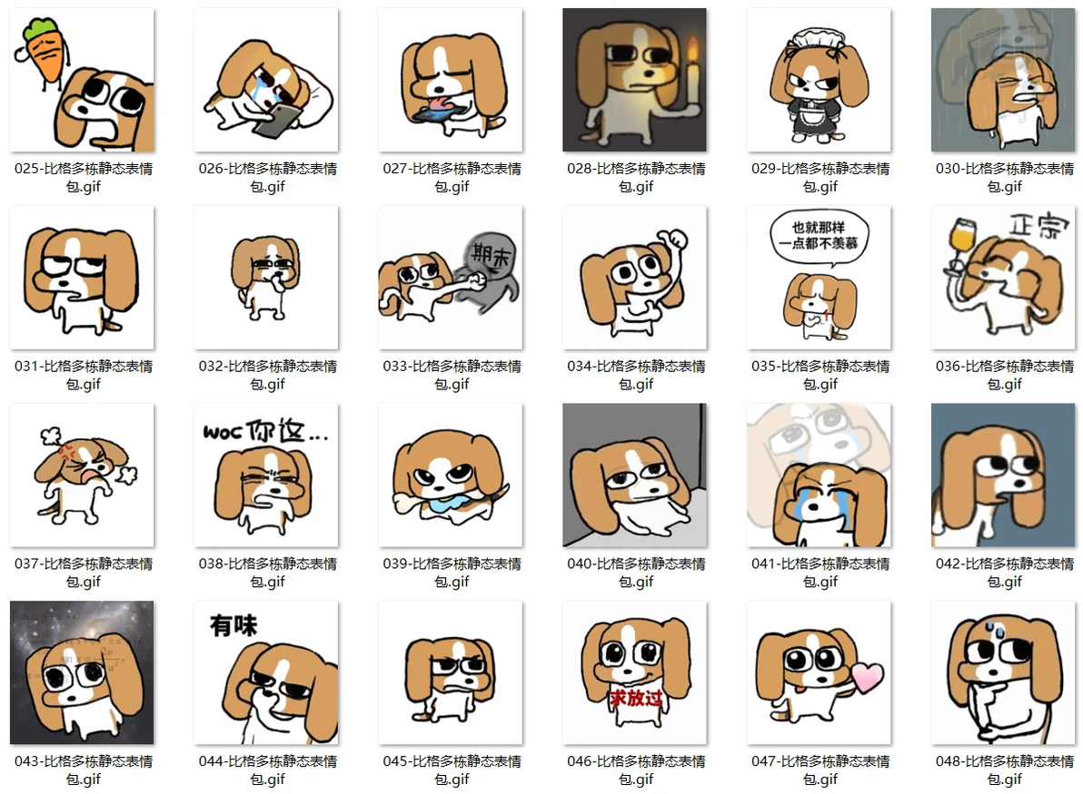 比格犬多栋表情包GIF大全|搞怪可爱聊天斗图|聊天斗图必备表情包合集 - 哔哩哔哩