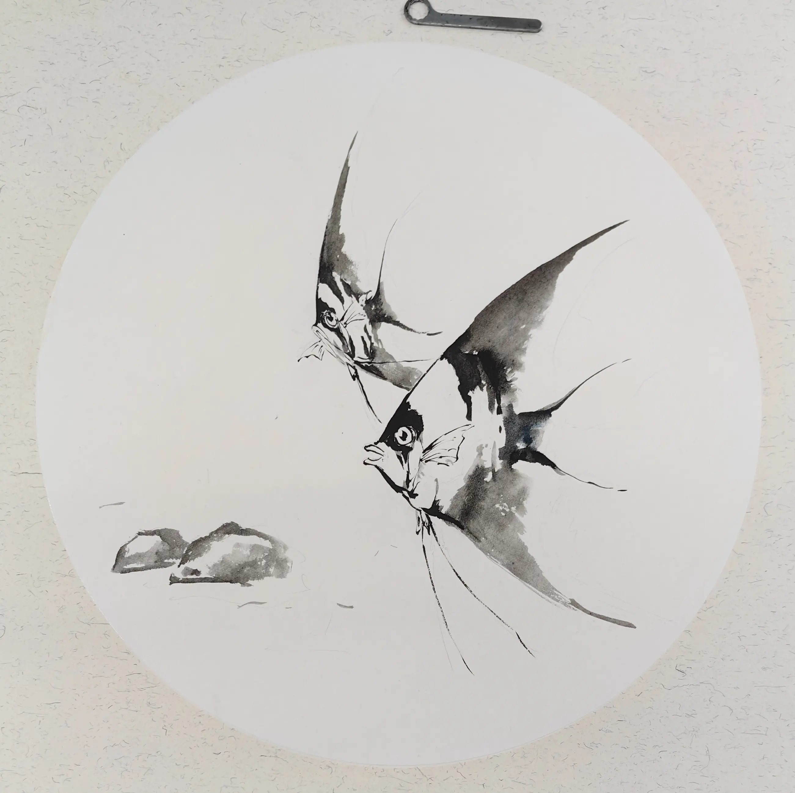 神仙鱼国画小写意作品