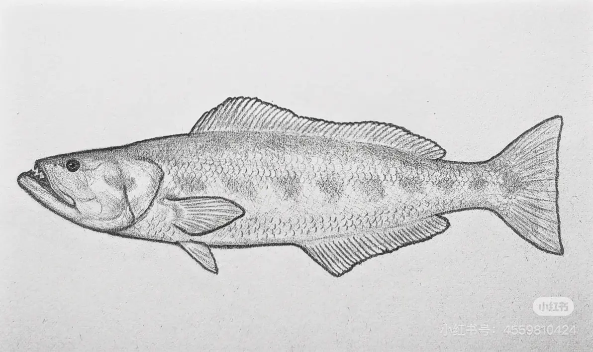 未来生物设计搬运第六期