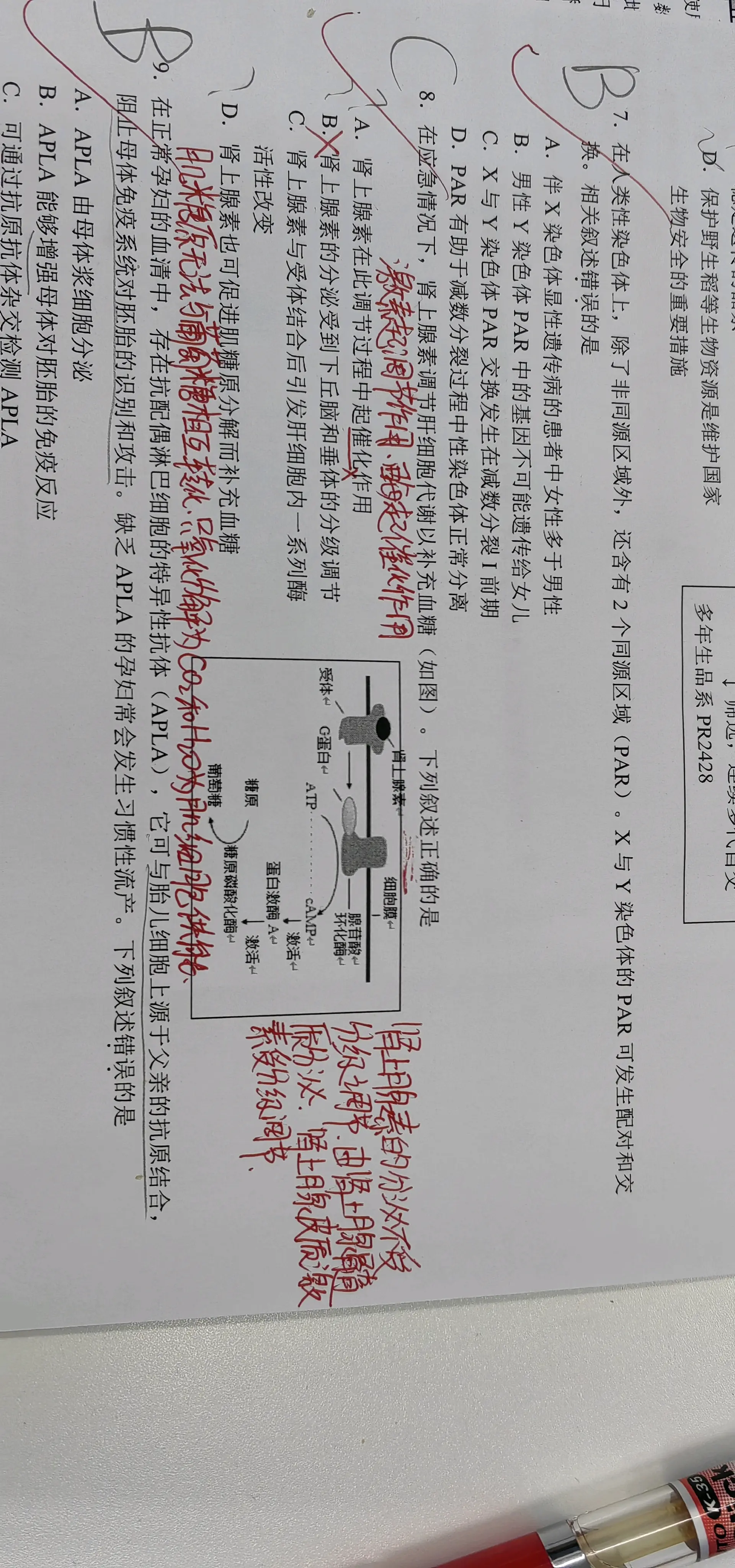 生物优秀错题本图片图片