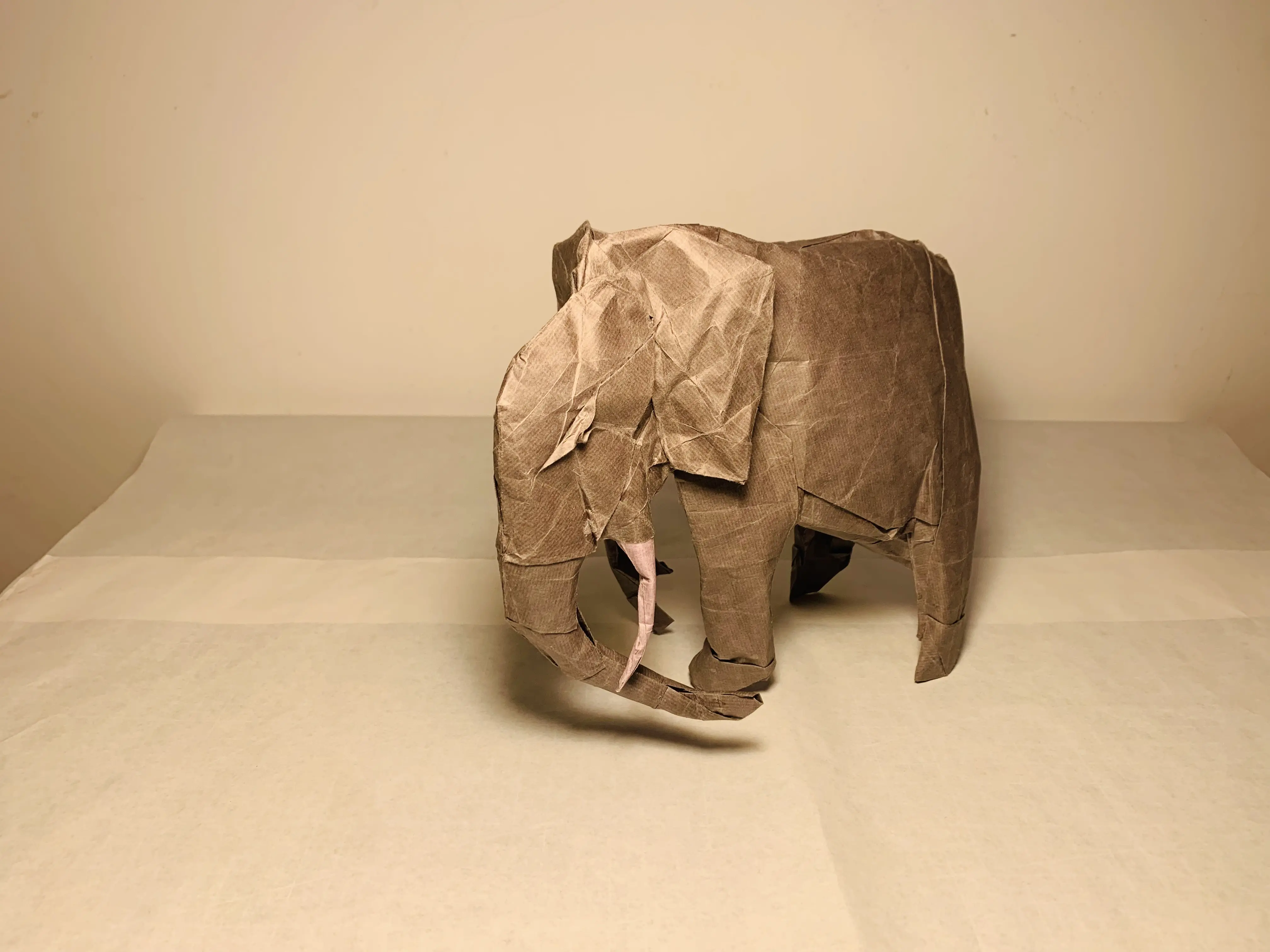 【折纸】加藤非洲象