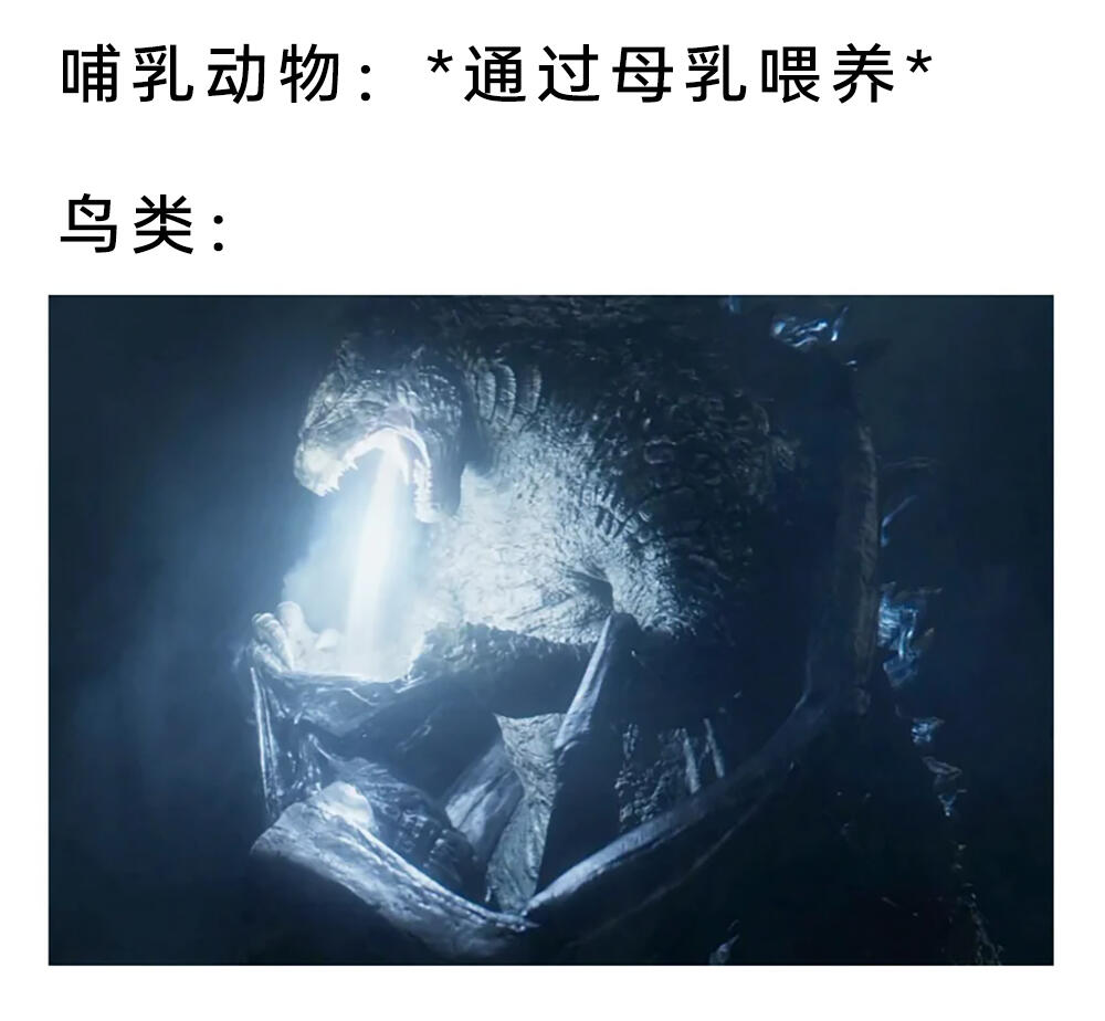 meme梗图:这可比蝴蝶棒多了! - 哔哩哔哩