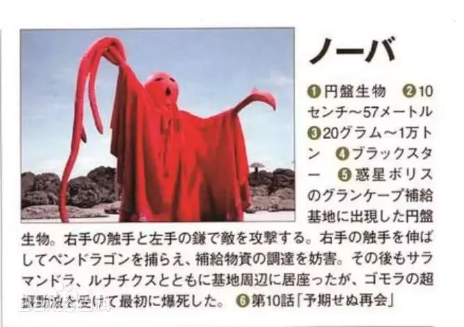 圆盘生物—诺巴