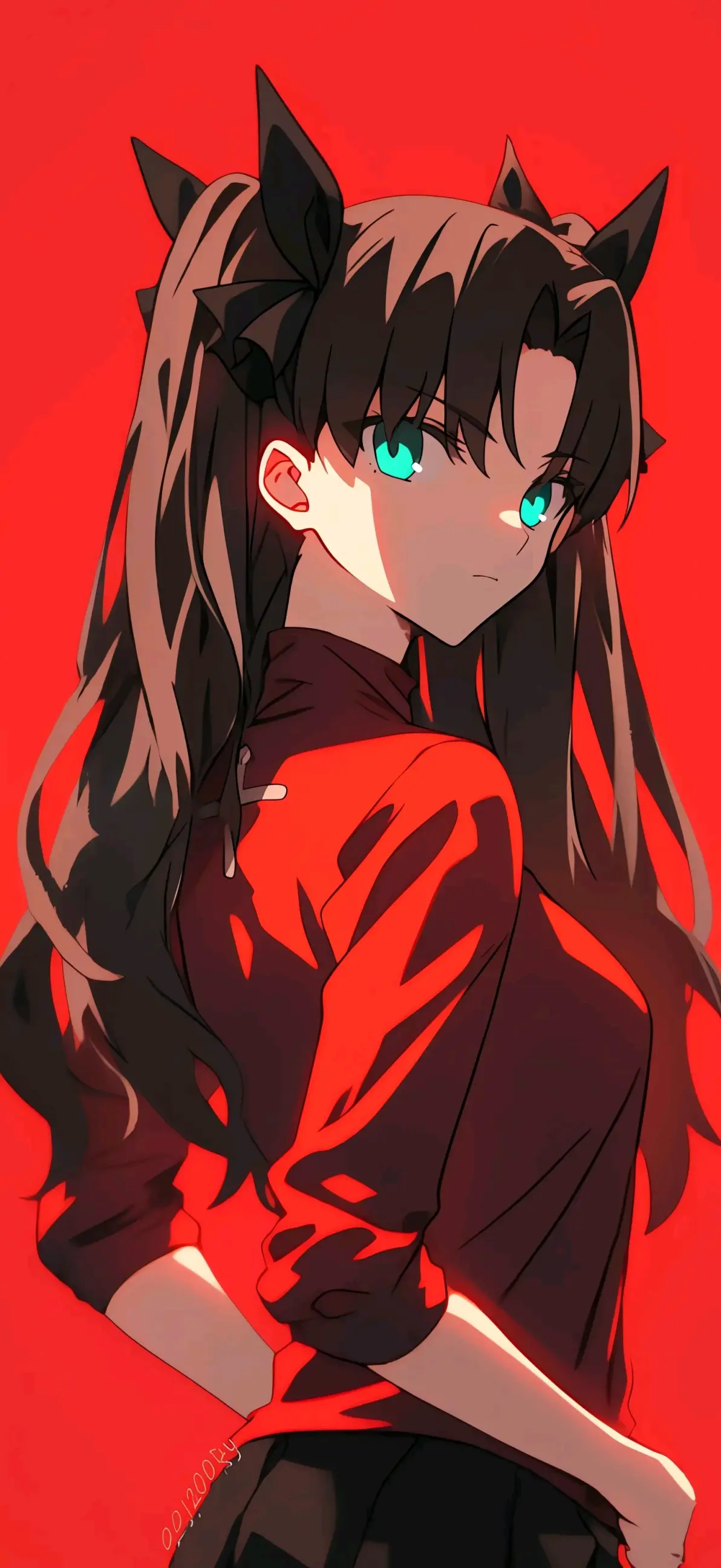 fate stay night远坂凛