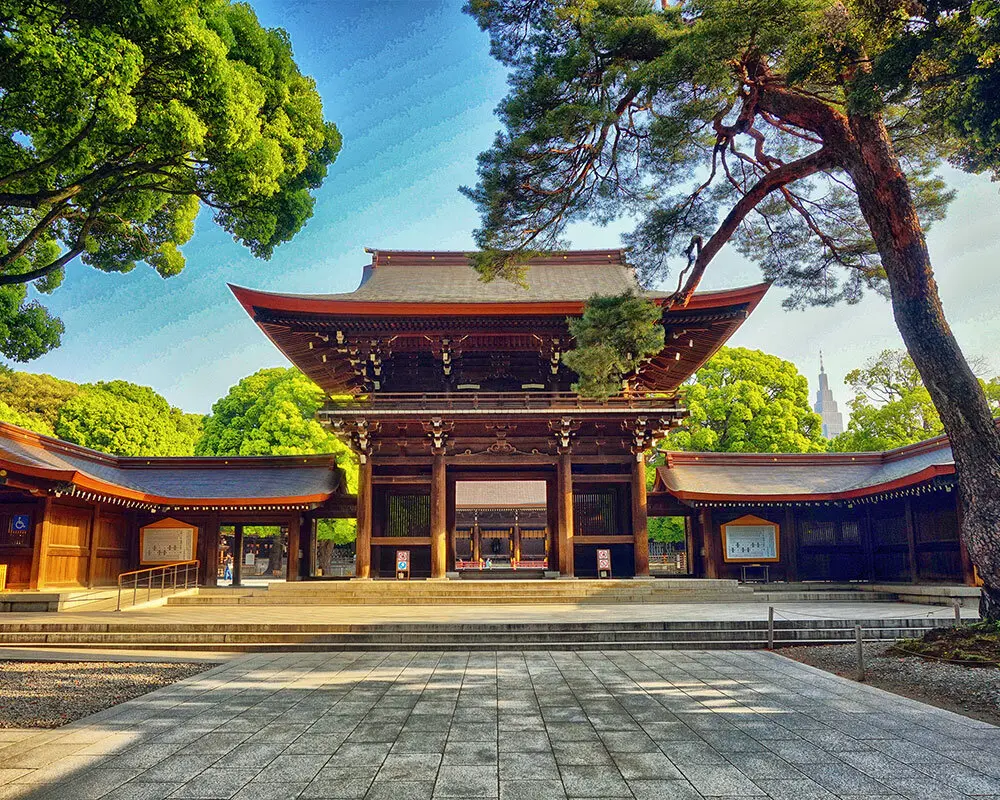 明治神宫:繁华东京中的静谧宫殿