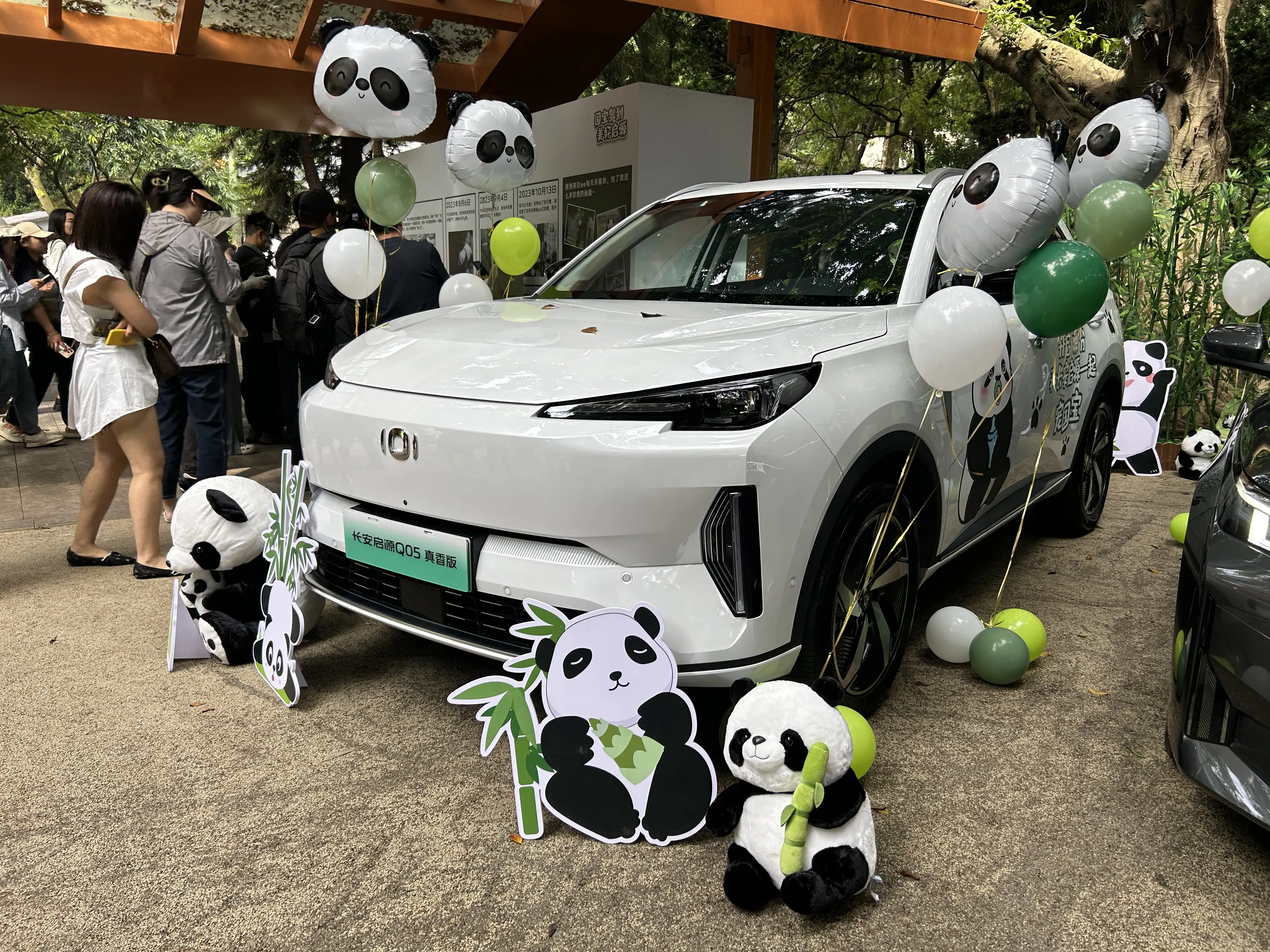 长安启源认养大熊猫莽灿灿,"顶流"之后又携"国宝"!