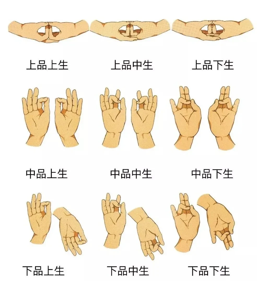 ok,别过来,真是这个意思吗?从手印看懂佛教造像 - 哔哩哔哩