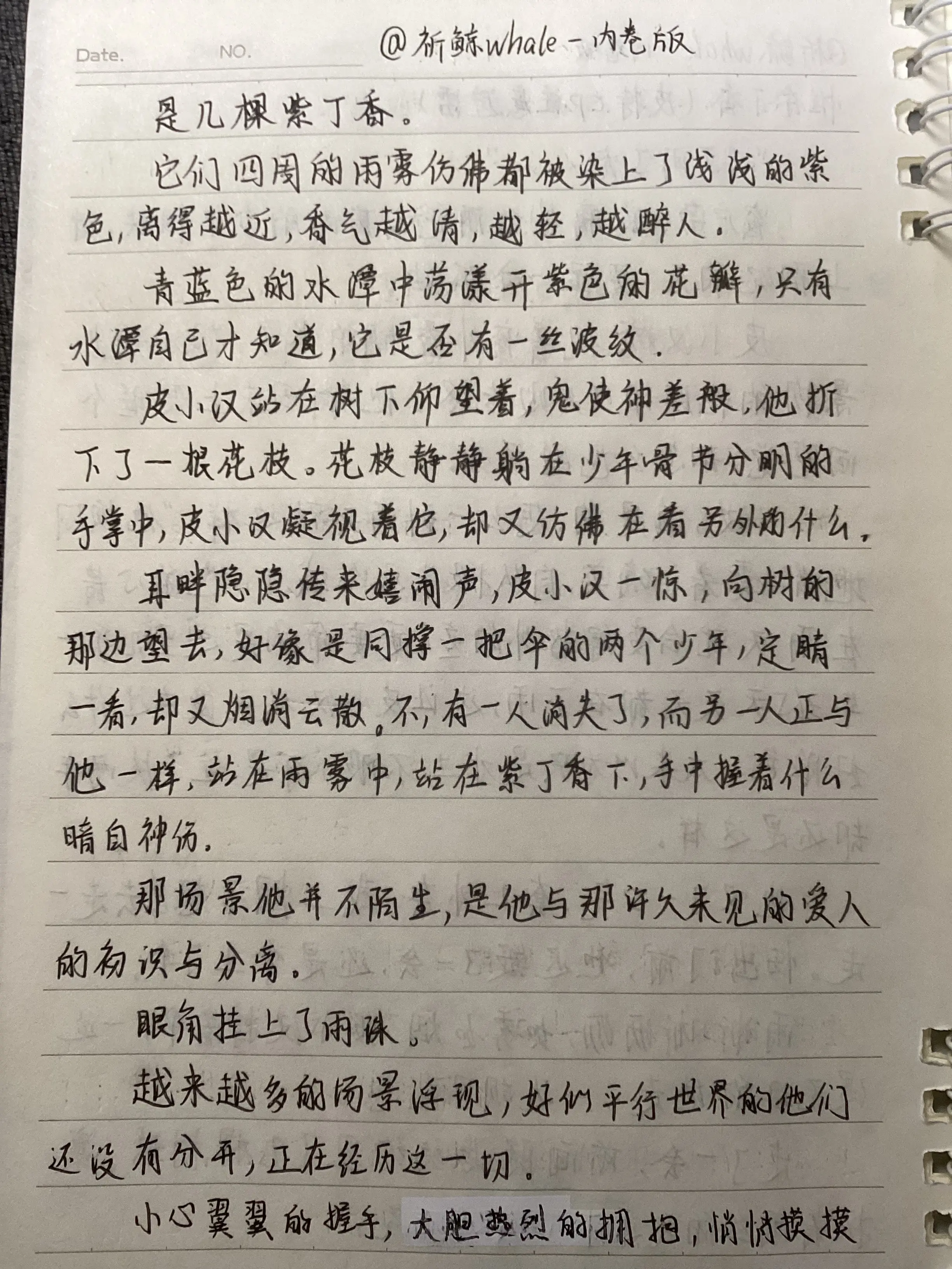惟余丁香(皮特cp注意避雷!