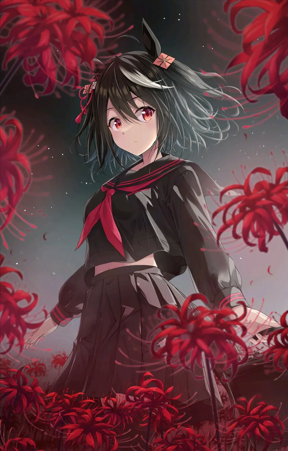 彼岸花插画特辑