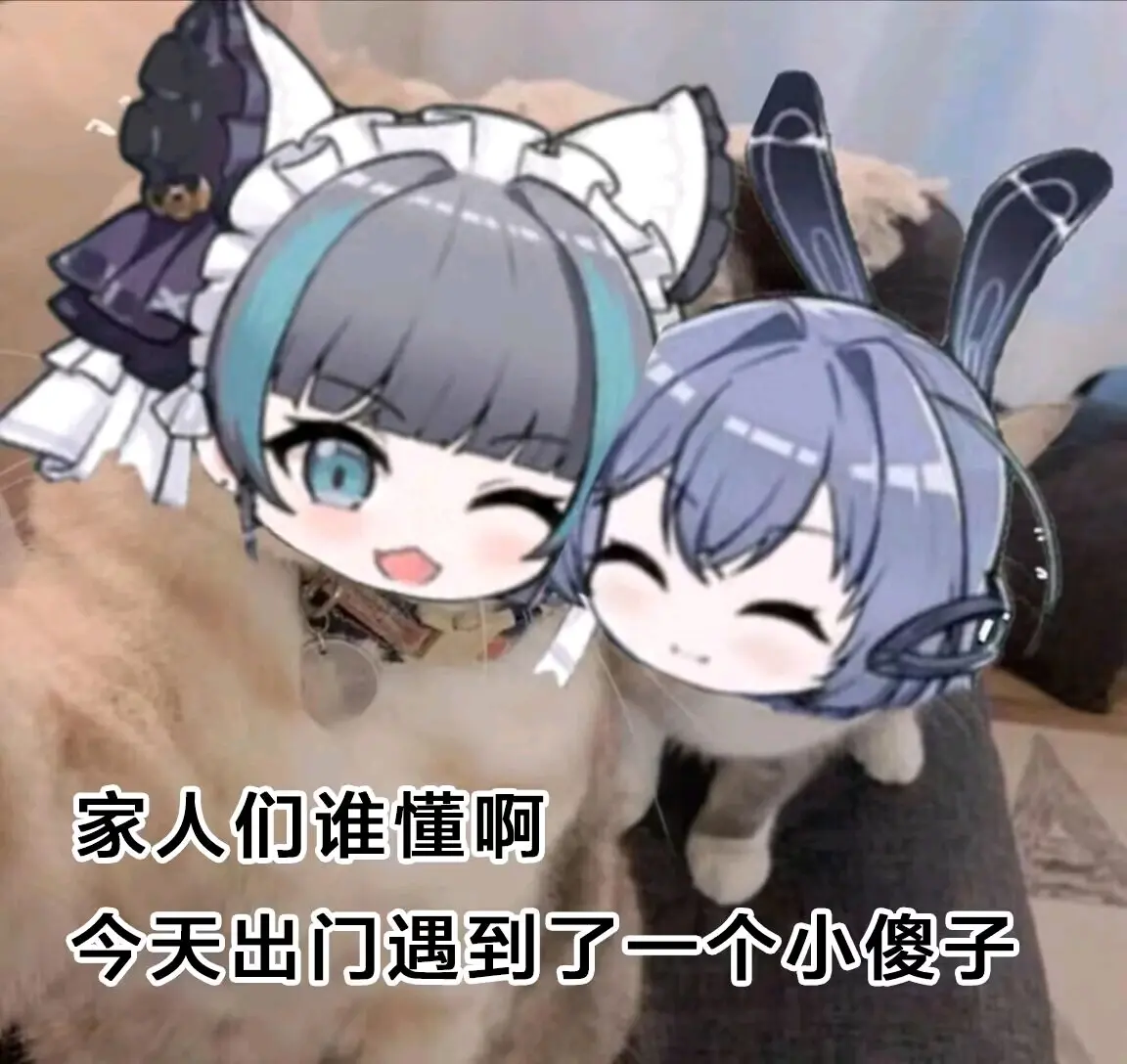 猪咪表情包(二十二)