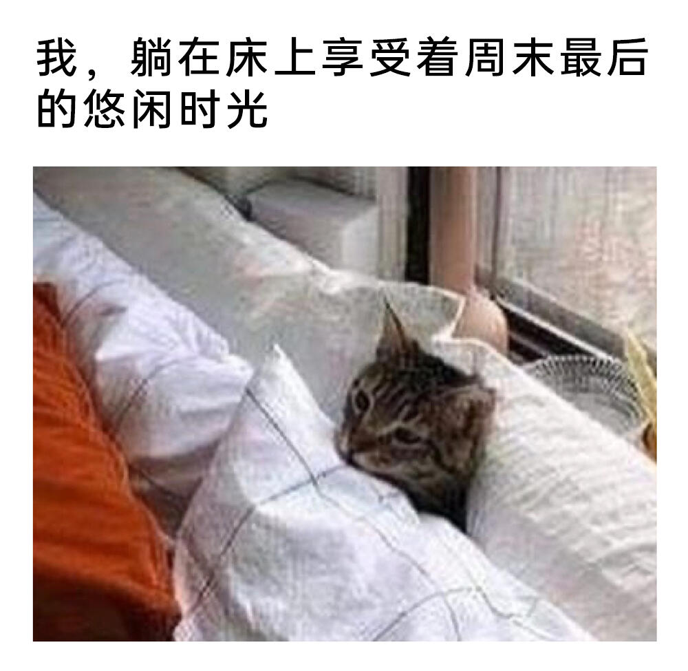 meme梗图:你的毛好软噢! - 哔哩哔哩