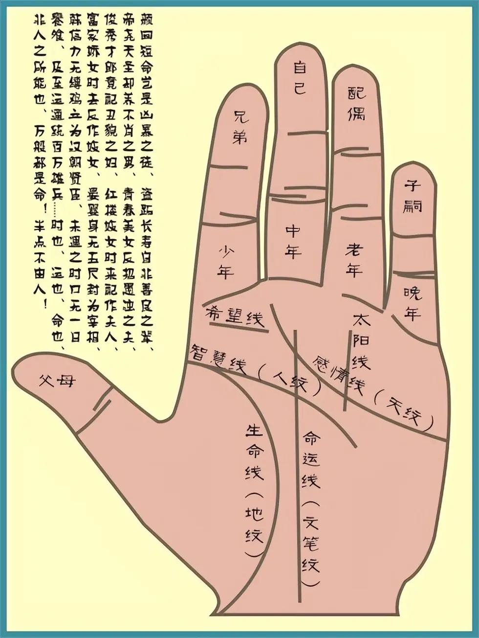 手相"八卦宫位,掌丘"详解