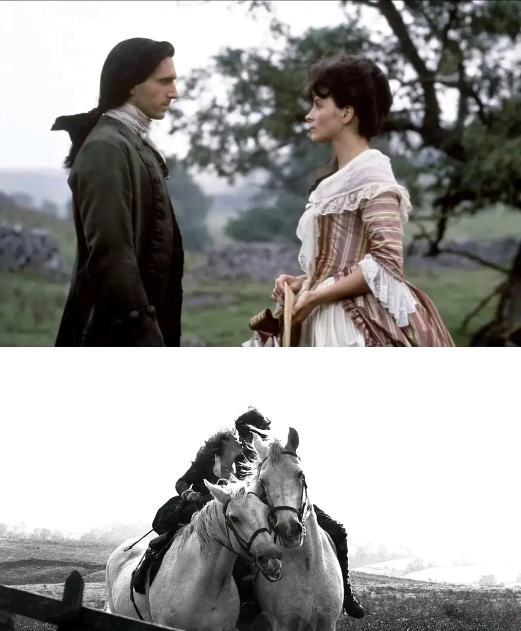 《呼啸山庄》经典语录