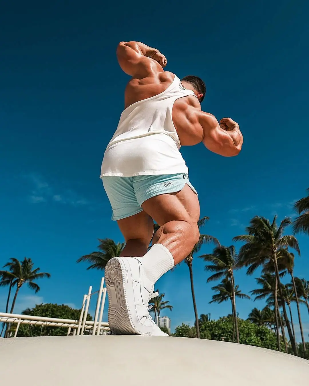 历史级别背部,奥赛冠军德里克高清壁纸