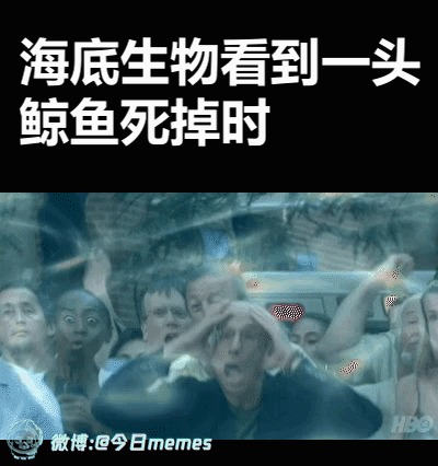 一周趣图分享 NO.502 - 哔哩哔哩