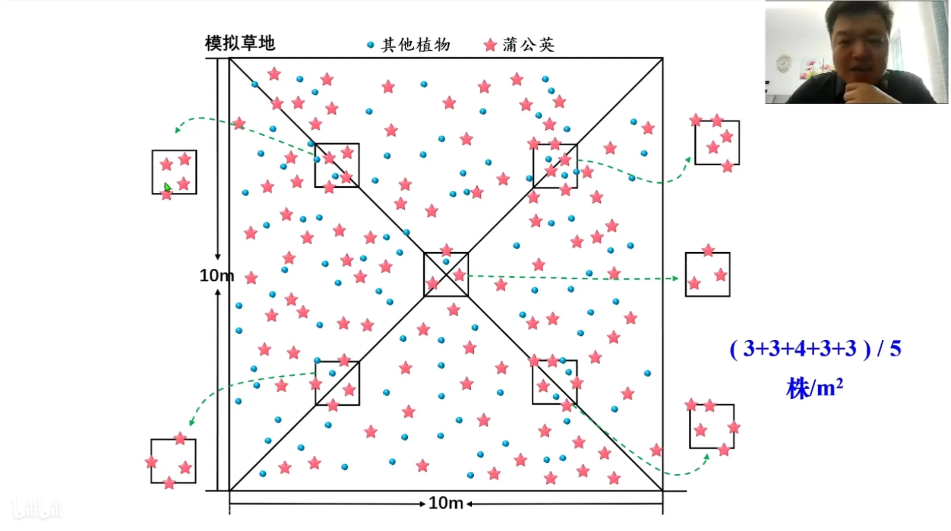 种群特征的概念图图片