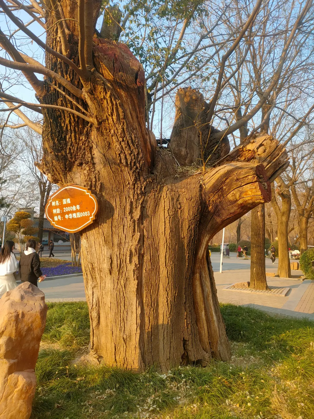 《沈丘槐园里的"娟娟发屋"》