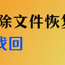电脑回收站删除的文件怎么恢复？5种方法解决