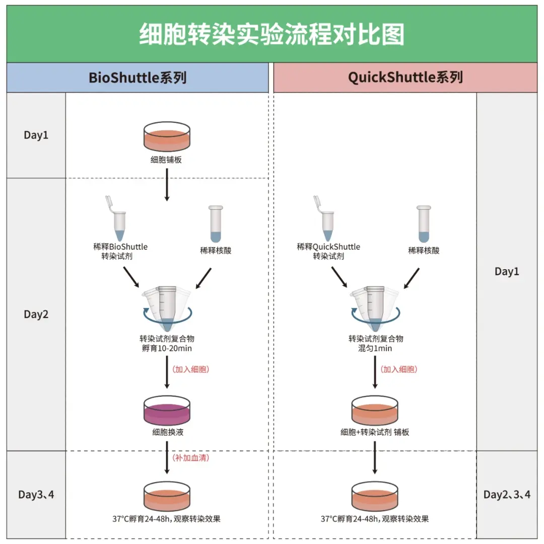 原代细胞转染,原代细胞转染试剂盒 原代细胞转染,原代细胞转染试剂盒