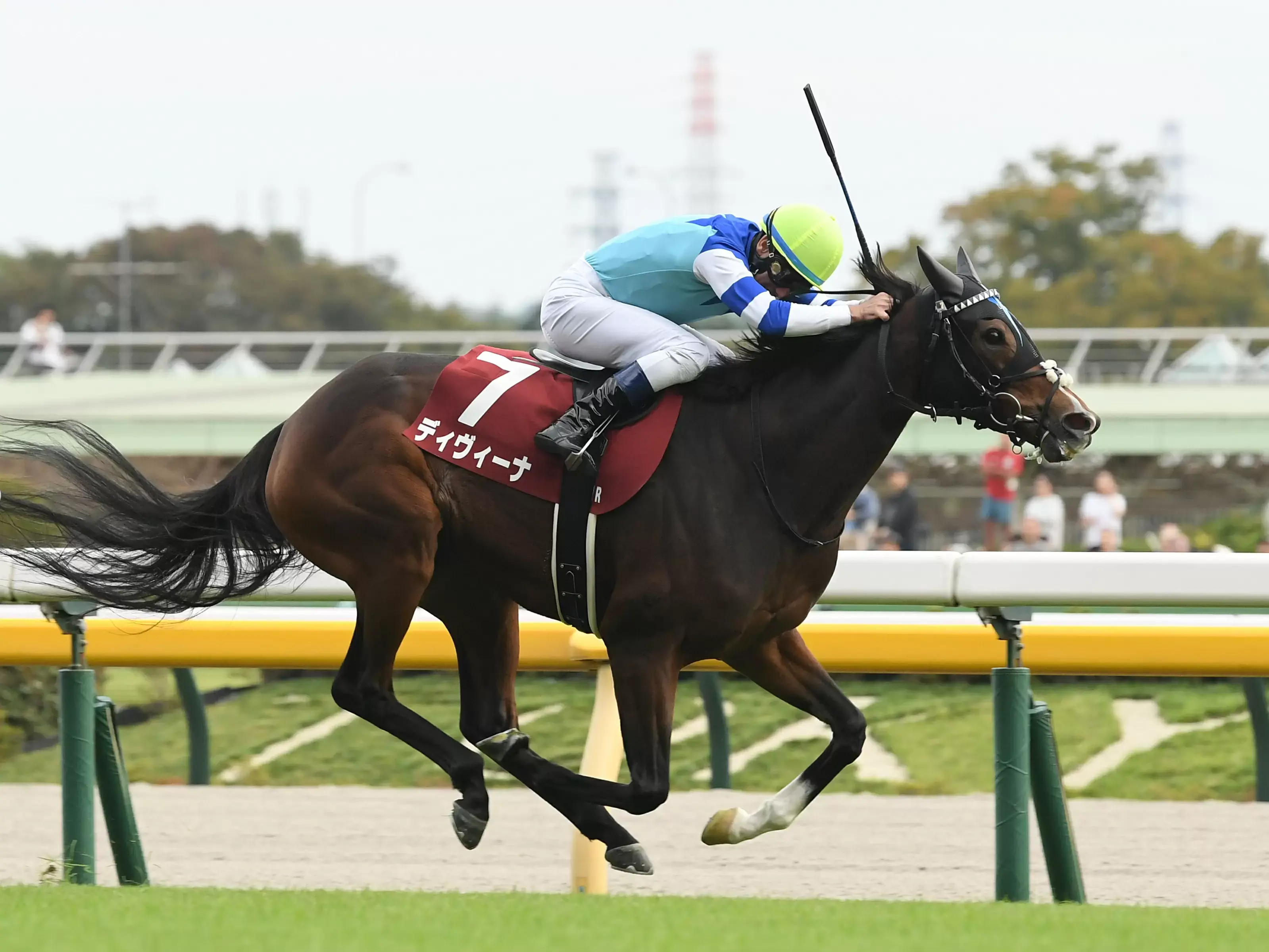 2025日本赛马大变局