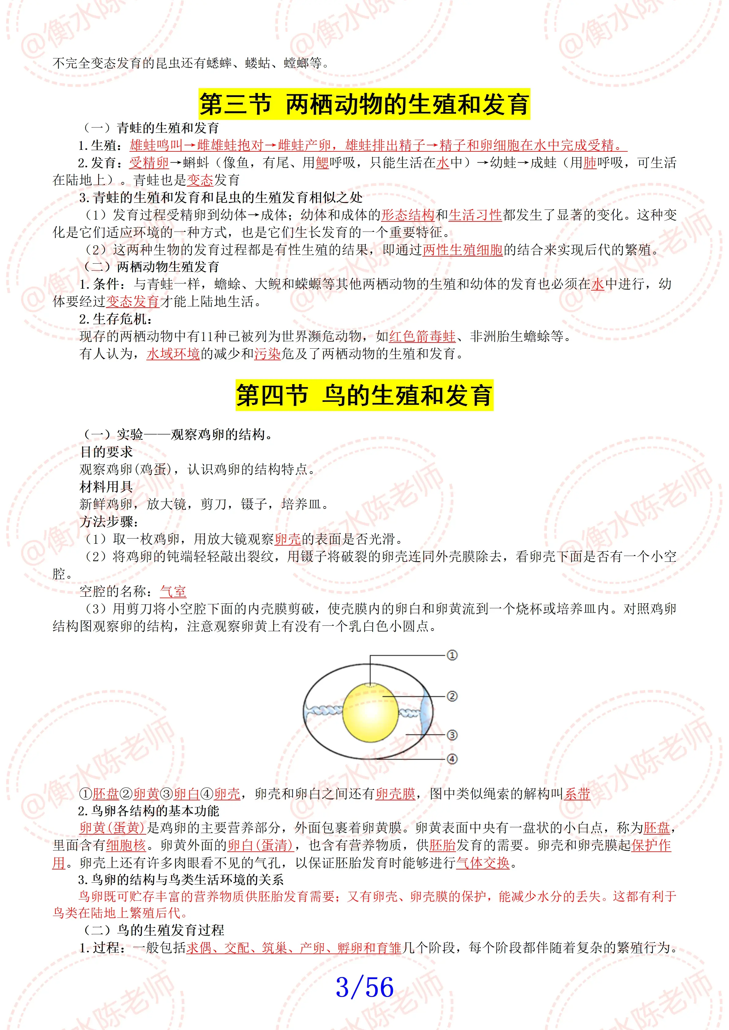 八年级生物胃(初中生物8年级上册)  第1张