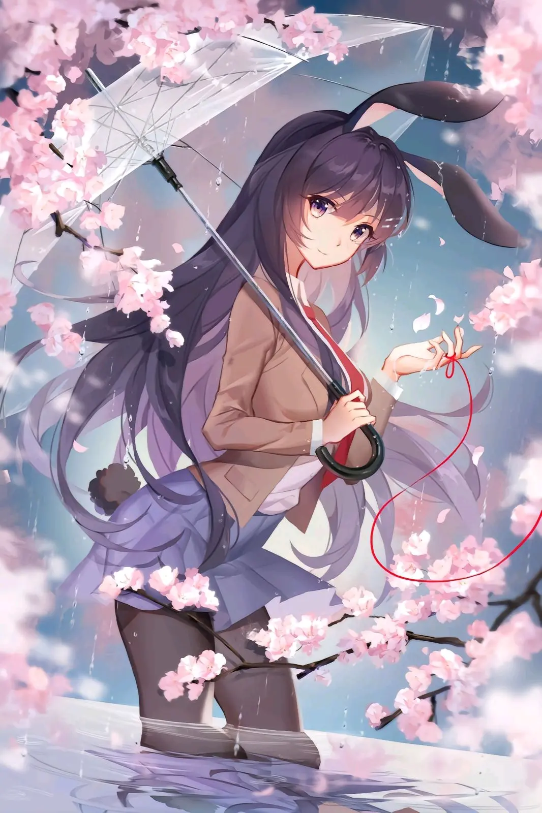 麻衣学姐