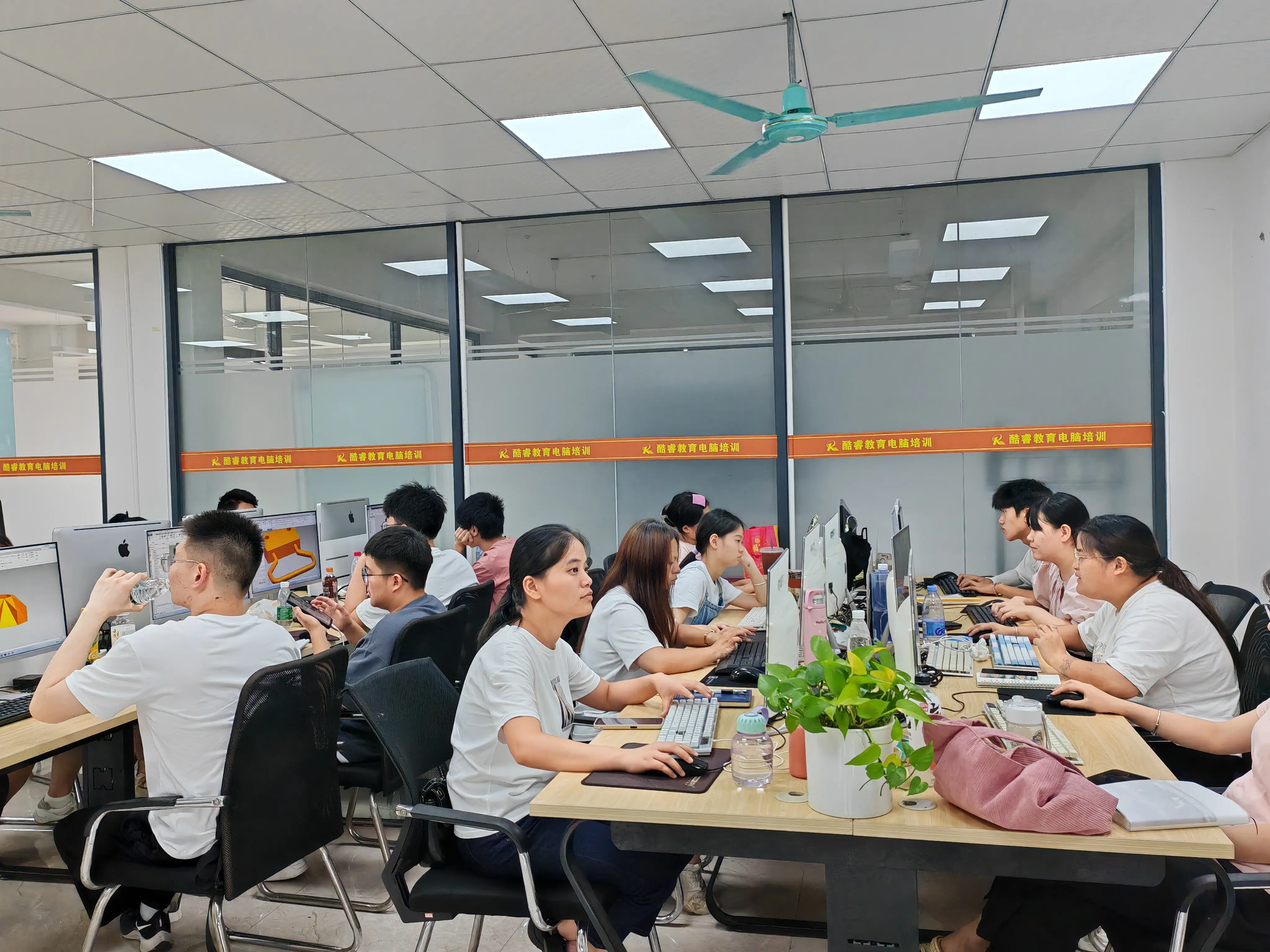 东莞鑫鹏SEO培训 B站