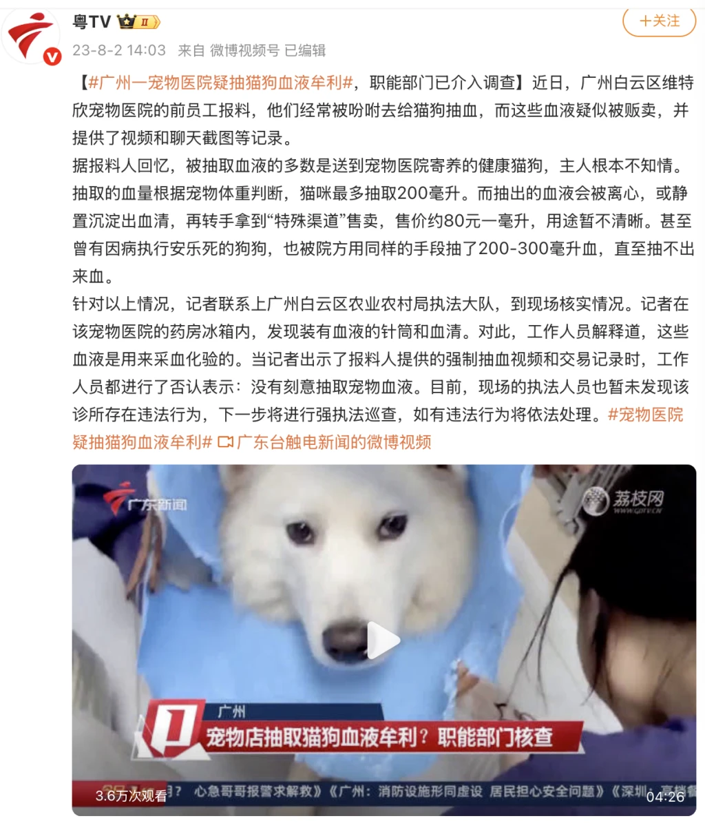 “血猫”悲鸣:当信任被明码标价,我们如何守护家人的底线? - 哔哩哔哩