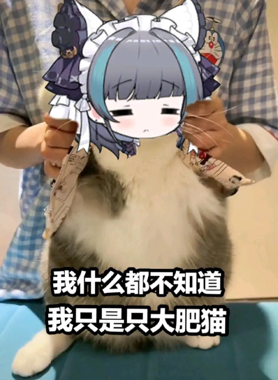 qq群和好友那边偷的表情包