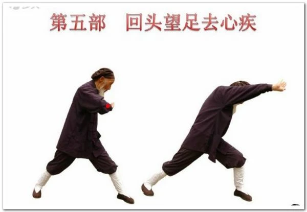 图解八部金刚功(张至顺道长演示) - 哔哩哔哩