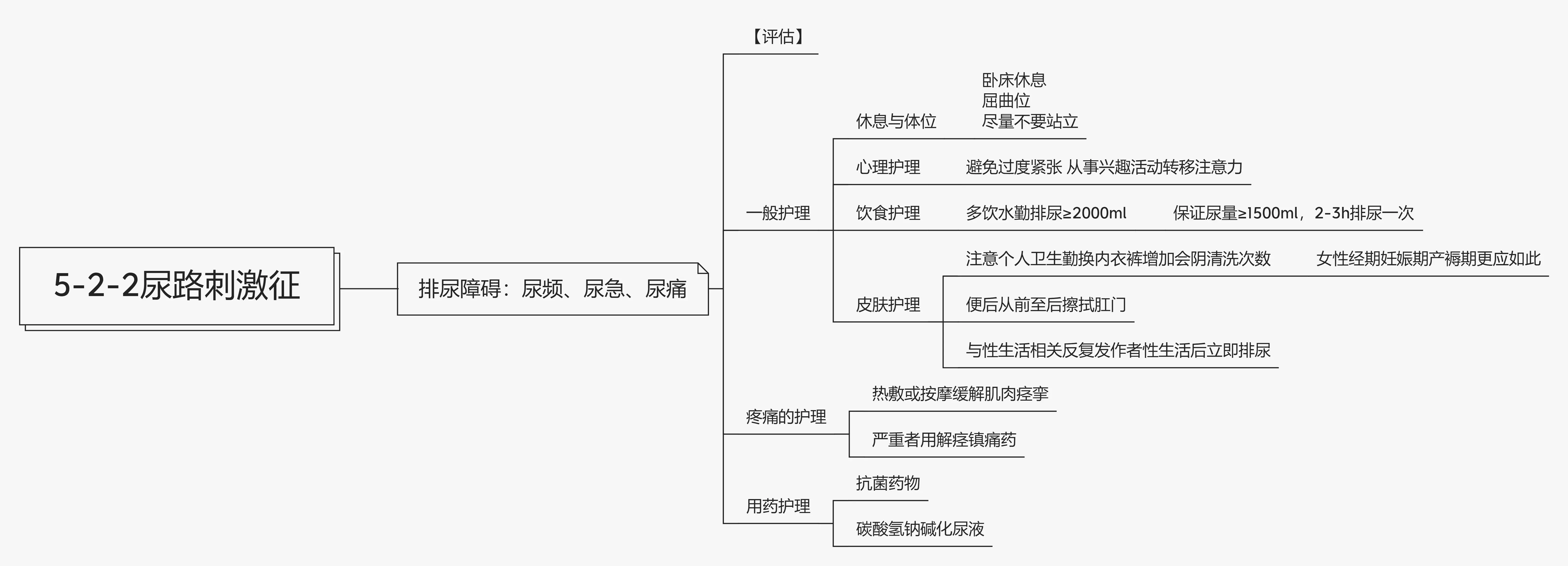 导尿思维导图怎么画图片