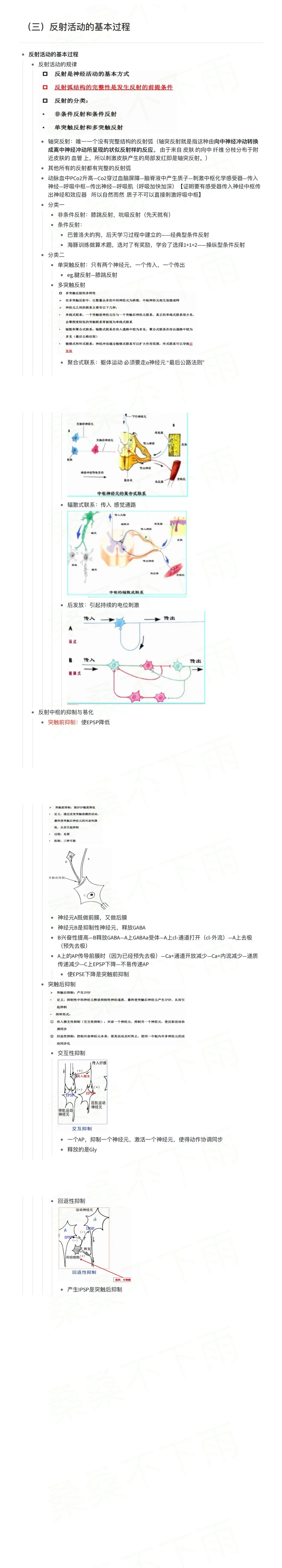 动物生理学 神经生理3 反射活动的基本过程